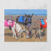 3 Donkeys Postkarte (Vorderseite)