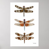 3 Dragonfly Art Poster (Vorne)
