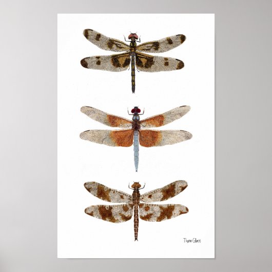 3 Dragonfly Art Poster (Vorne)