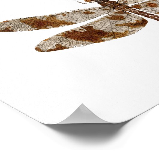 3 Dragonfly Art Poster (Ecke)