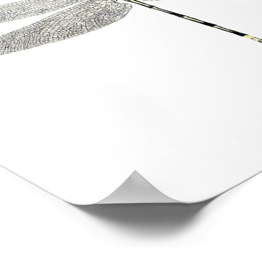 3 Dragonfly Art Poster (Ecke)