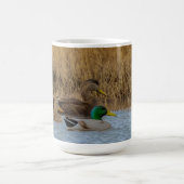 3 Enten 11 oz oder 15 oz Tasse (Mittel)