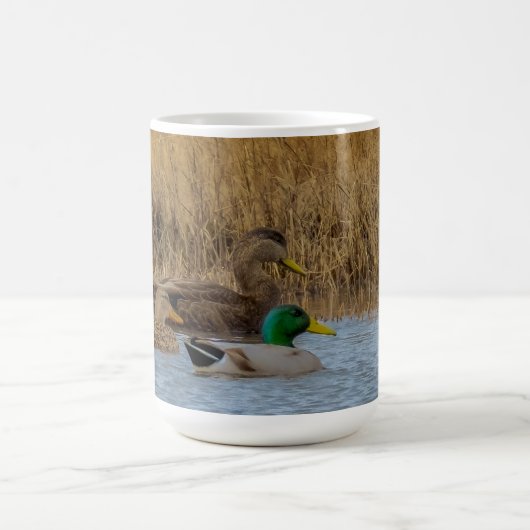 3 Enten 11 oz oder 15 oz Tasse (Mittel)