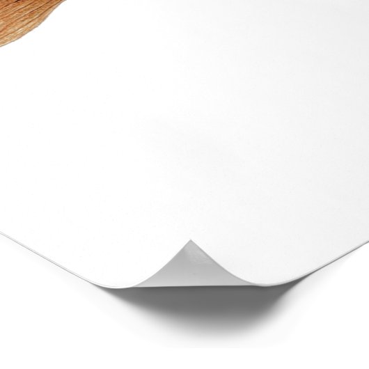 3 Forelle & Lachs Kunst & Kultur Poster (Ecke)