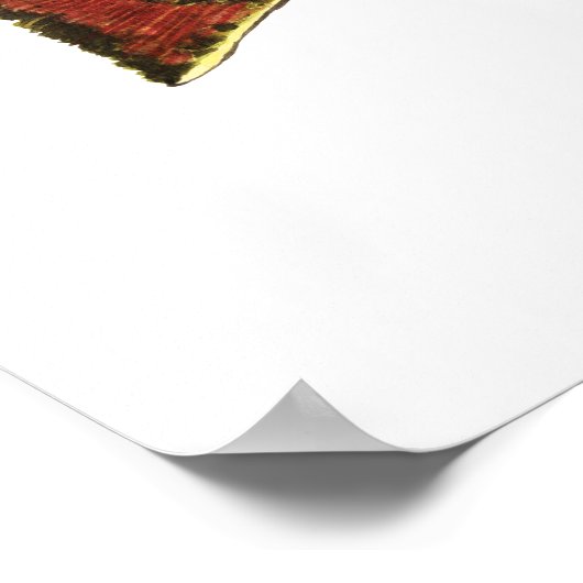 3 Forellen - Bach, Braun, Regenbogen, Hoirzontal Poster (Ecke)