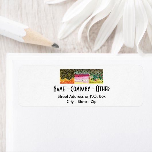 3 Forellenfelle: Brook, Regenbogen, Brown - Fliege (Insitu)