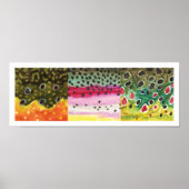 3 Forellenfelle: Brook, Regenbogen, Brown - Fliege Poster (Vorne)
