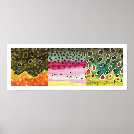 3 Forellenfelle: Brook, Regenbogen, Brown - Fliege Poster (Vorne)