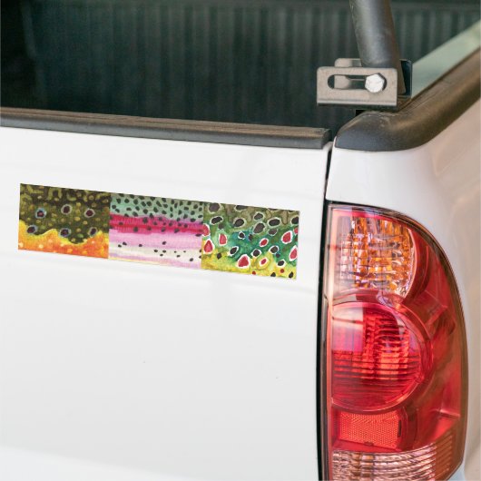 3 Forellenhäute: Bach, Regenbogen, Braunen - Fisch Autoaufkleber (Auf Lkw)