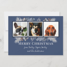 3 Foto Botanische Flora Feiertagskarte