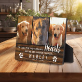 3 Foto Collage Rustic Pet Loss Memorial Fotoplatte