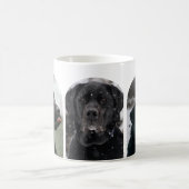 3-Foto-Collage-Vorlage personalisiert Kaffeetasse (Mittel)