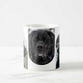 3-Foto-Collage-Vorlage personalisiert Kaffeetasse (Mittel)