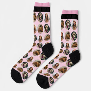 3 Foto-Dachshund-Crew-Socken Socken