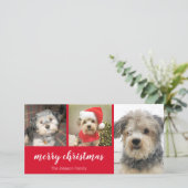 3 Foto - einfach Red Holly - Frohe Weihnachten (Stehend Vorderseite)