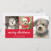 3 Foto - einfach Red Holly - Frohe Weihnachten (Vorderseite)