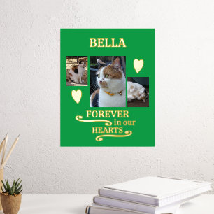 3 Foto Name Haustiere für immer Gedenkgold Foliendrucke