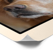 3 Foto Poster (Ecke)