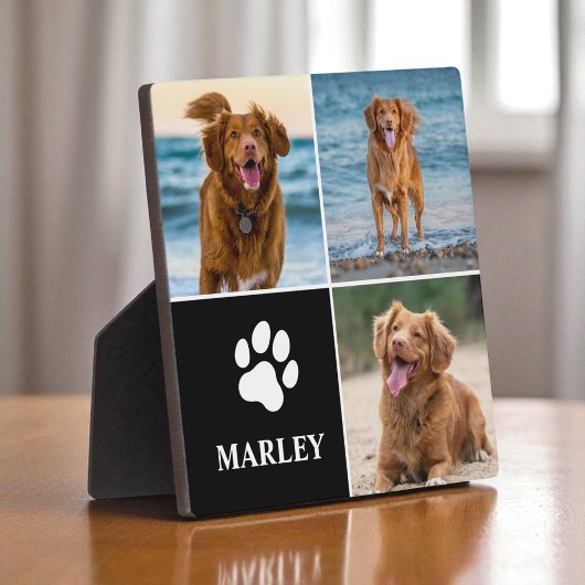 3 Fotomaterial Hund Lover Tiere Moderne Fotoplatte