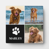 3 Fotomaterial Hund Lover Tiere Moderne Fotoplatte (Vorderseite)