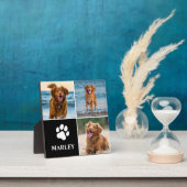 3 Fotomaterial Hund Lover Tiere Moderne Fotoplatte (InSitu)