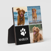 3 Fotomaterial Hund Lover Tiere Moderne Fotoplatte (Vorderseite)