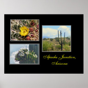 3 Fotos von Apache Junction, Az print Poster