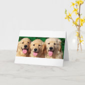 3 Freunde Karte (Gelbe Blume)