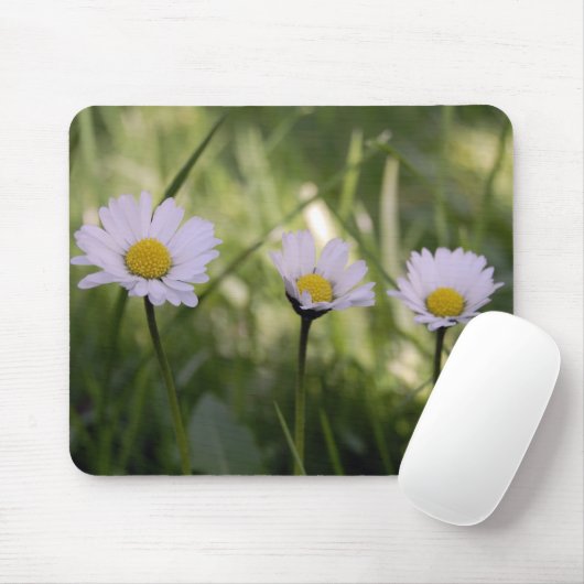 3 Gänseblümchen Mousepad (Mit Mouse)