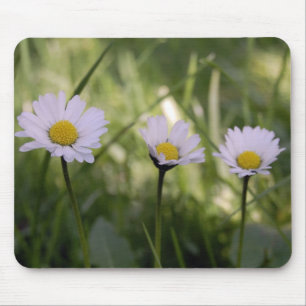 3 Gänseblümchen Mousepad