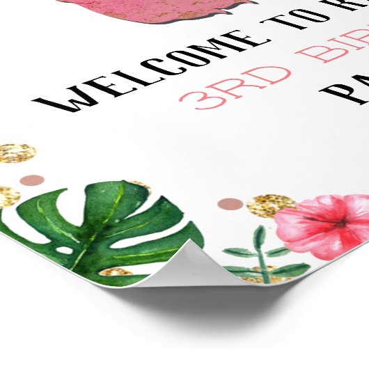 3. Geburtstag von Dinosaurier Poster (Ecke)