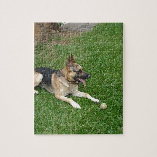 3 german-shepherd-lay.png puzzle (Vertikal)