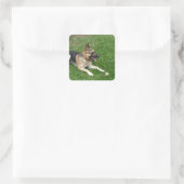 3 german-shepherd-lay.png quadratischer aufkleber (Tasche)