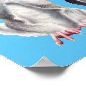 3 Gleitschirm Poster (Ecke)