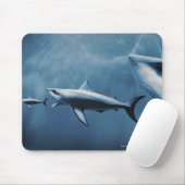 3 Große Weißhaie (Carcharodon carcharias) Mousepad (Mit Mouse)