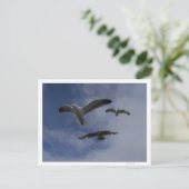 3 Gulls Postkarte (Stehend Vorderseite)