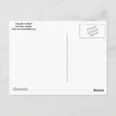 3 Gulls Postkarte (Rückseite)