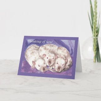 3 Himis Denken Sie Karte