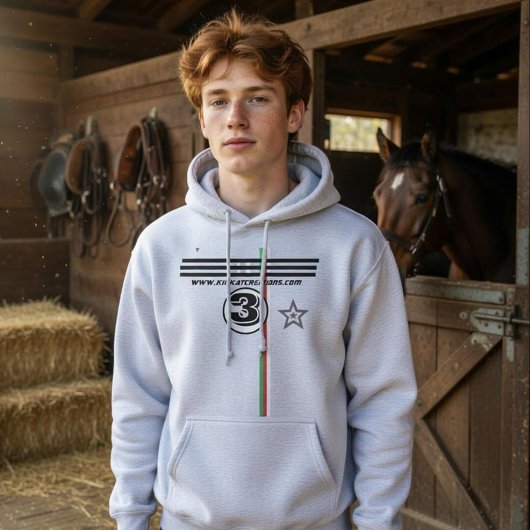 3 HOODIE