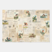3 Hübsche VogelCollage Ephemeres Sheets Geschenkpapier Set (Vorderseite 3)