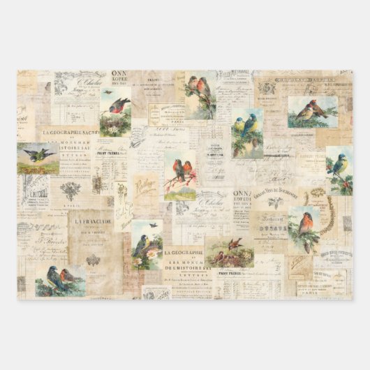 3 Hübsche VogelCollage Ephemeres Sheets Geschenkpapier Set (Vorderseite 3)