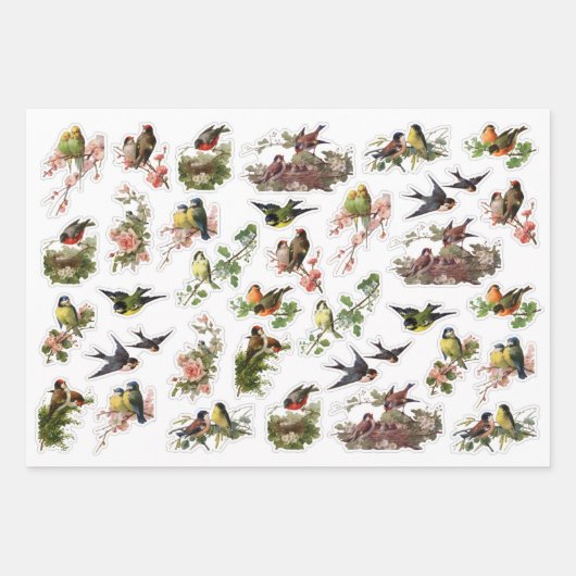 3 Hübsche VogelCollage Ephemeres Sheets Geschenkpapier Set (Vorderseite)