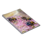 3 Hummeln Notizblock (Rechte Seite)