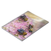 3 Hummeln Notizblock (Linke Seite)