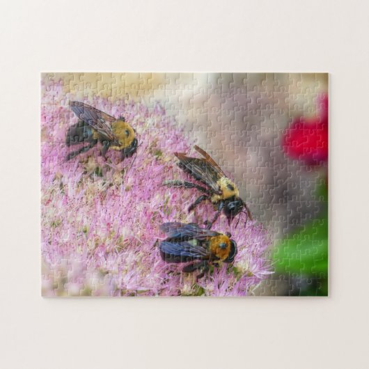 3 Hummeln Puzzle (Horizontal)