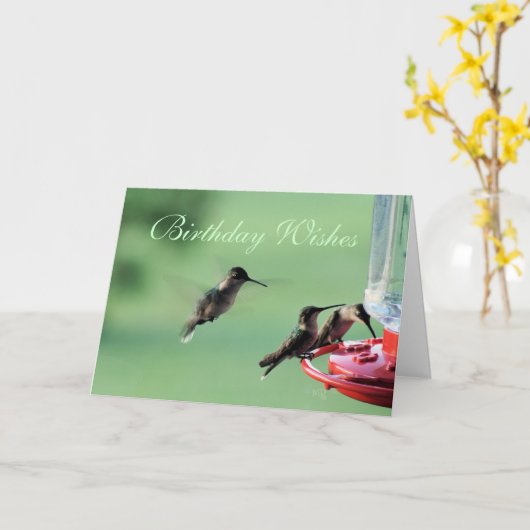 3 Hummingvögel am Züchter - jede Gelegenheit anpas Karte (Gelbe Blume)