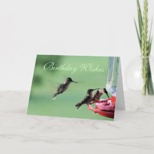 3 Hummingvögel am Züchter - jede Gelegenheit anpas Karte