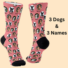 3 Hunde und Namen Personalisierte Fotos für Hausti Socken