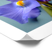 3 Irises Poster (Ecke)