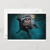 3.jpeg postkarte (Vorne/Hinten)